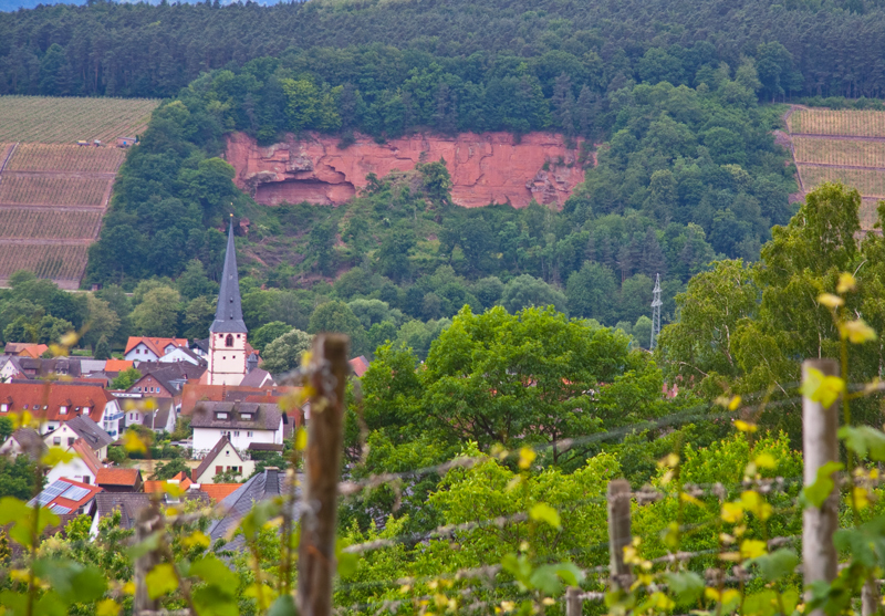 Weinort Bürgstadt